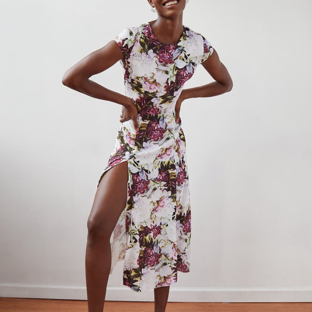 Babaton Hamptons Dress